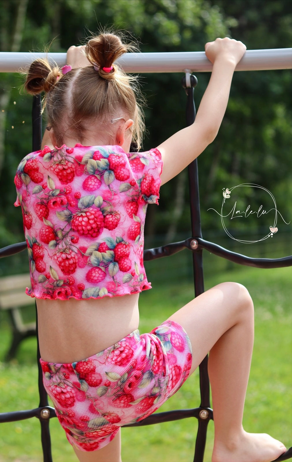 Himbeeren Neue Vorbestellung